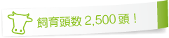 飼育頭数2,500頭！