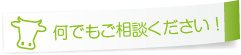 何でもご相談ください！