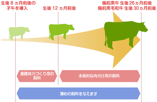 飼料の管理イメージ